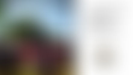 SOWI Attends Adwoki Technical School Graduation Event