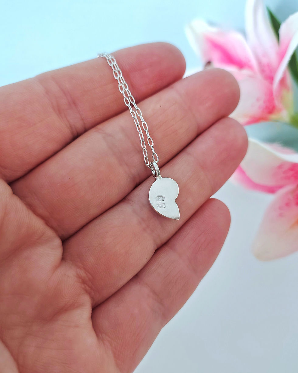 Thumbnail: Small Nautilus Shell Pendant - Recycled Silver