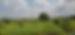 20201203_113446.jpg