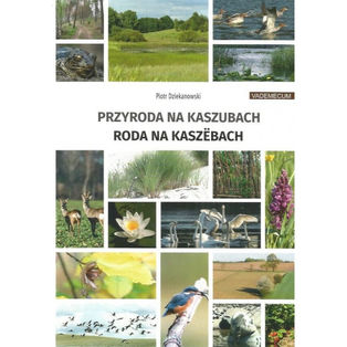 Sukcesy Instytutu i naszych autorów na targach w Kościerzynie