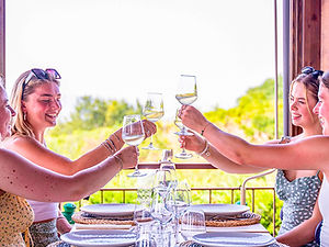 Guests toasting during a tasting at the estate