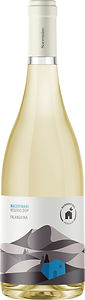 Macerina 91 Falanghina Vesuvio DOC bottle