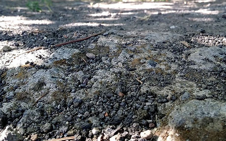 Volcanic soil with lapilli at the Sorrentino estate