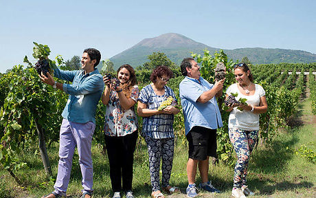 The Sorrentino family in the vineyard with Mount Vesuvius behind
