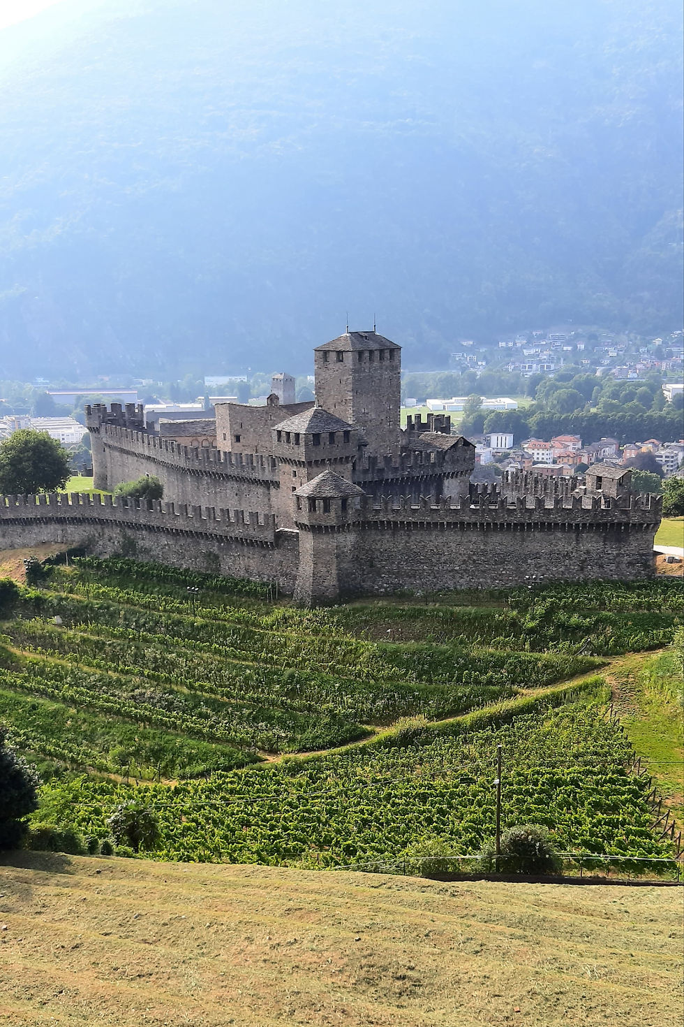 CASTELLI DI BELLINZONA E DINTORNI