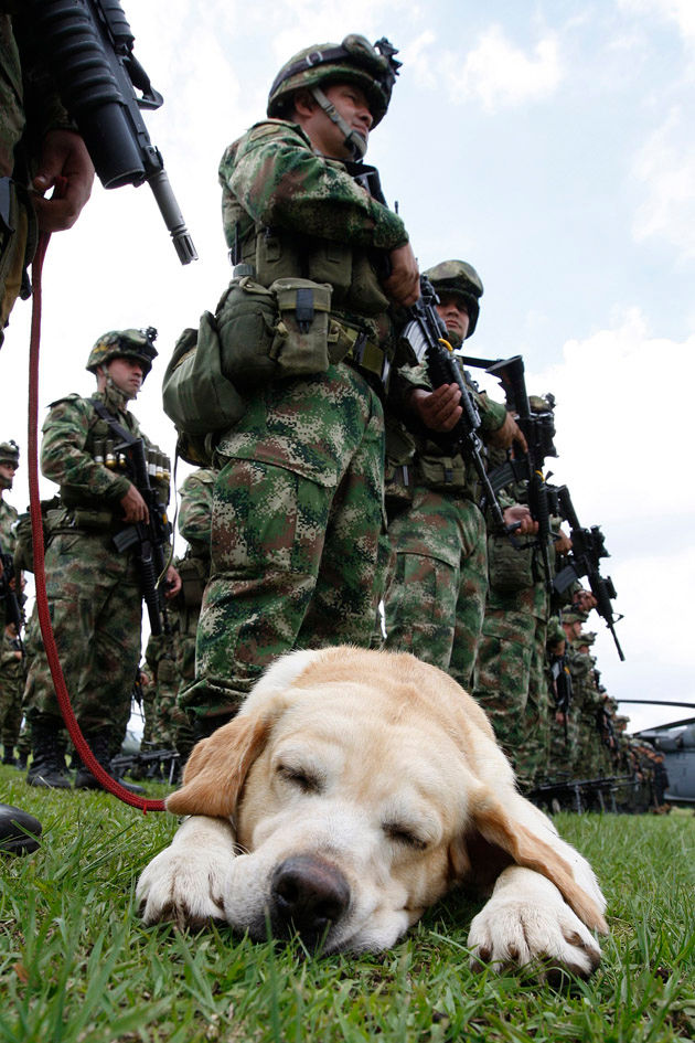 COMUNICACIÓN VERBAL: Discurso
