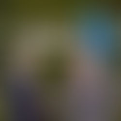 JCI and ICC Align on Strategic Vision During High-Level Paris Engagement