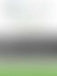 March 2023 Quad Section Meeting