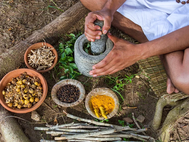 Ayurveda herbs and mortar and pestle