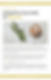Thumbnail: Supportive Ayurveda for Period eBook chapter