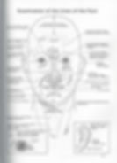Illustration of lines of the face in ayurveda facial analysis from textbook of ayurveda volume 2