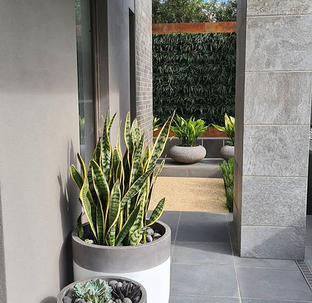 Residental vertical gardens in Victoria