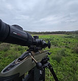Rabbit and fox management and shooting in Gippsland