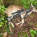 Deer shooting Melbourne, deer management Gippsland, deer shooting Gippsland