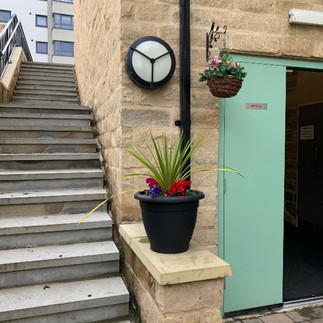 Entrance to centre with a colourful potted plant