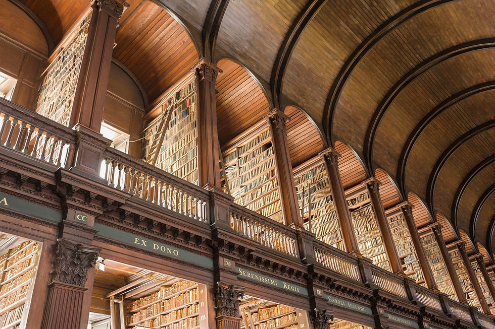 library book shelves