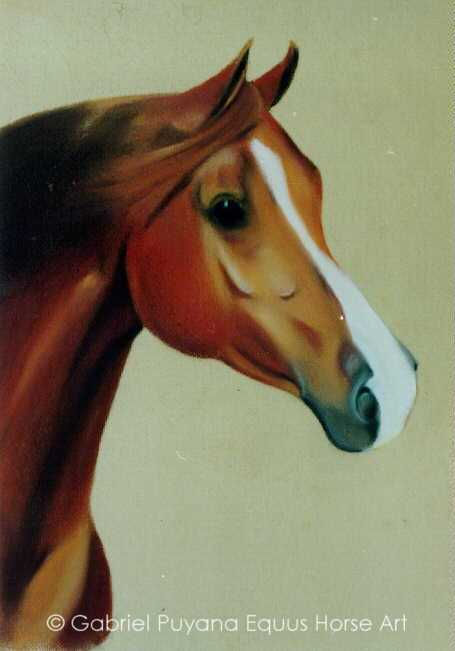 Caballo 7.jpg