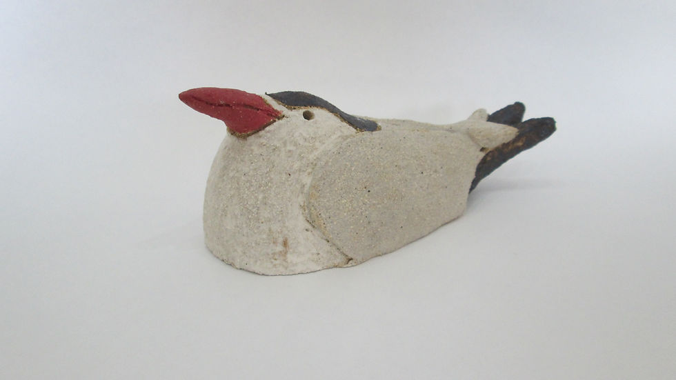 Thumbnail: Terns by Rob Rutherford