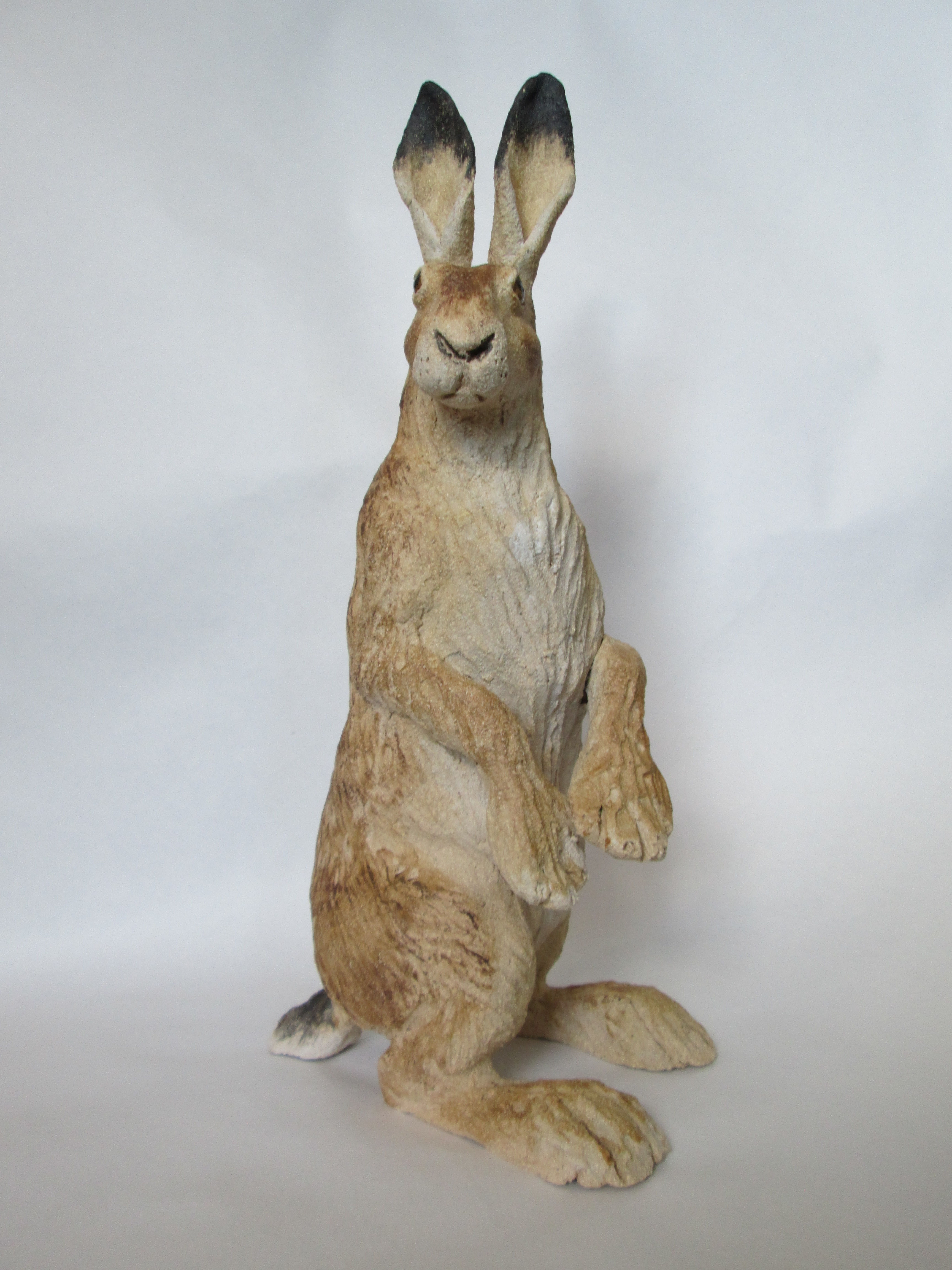 Alert by Gina Hardy