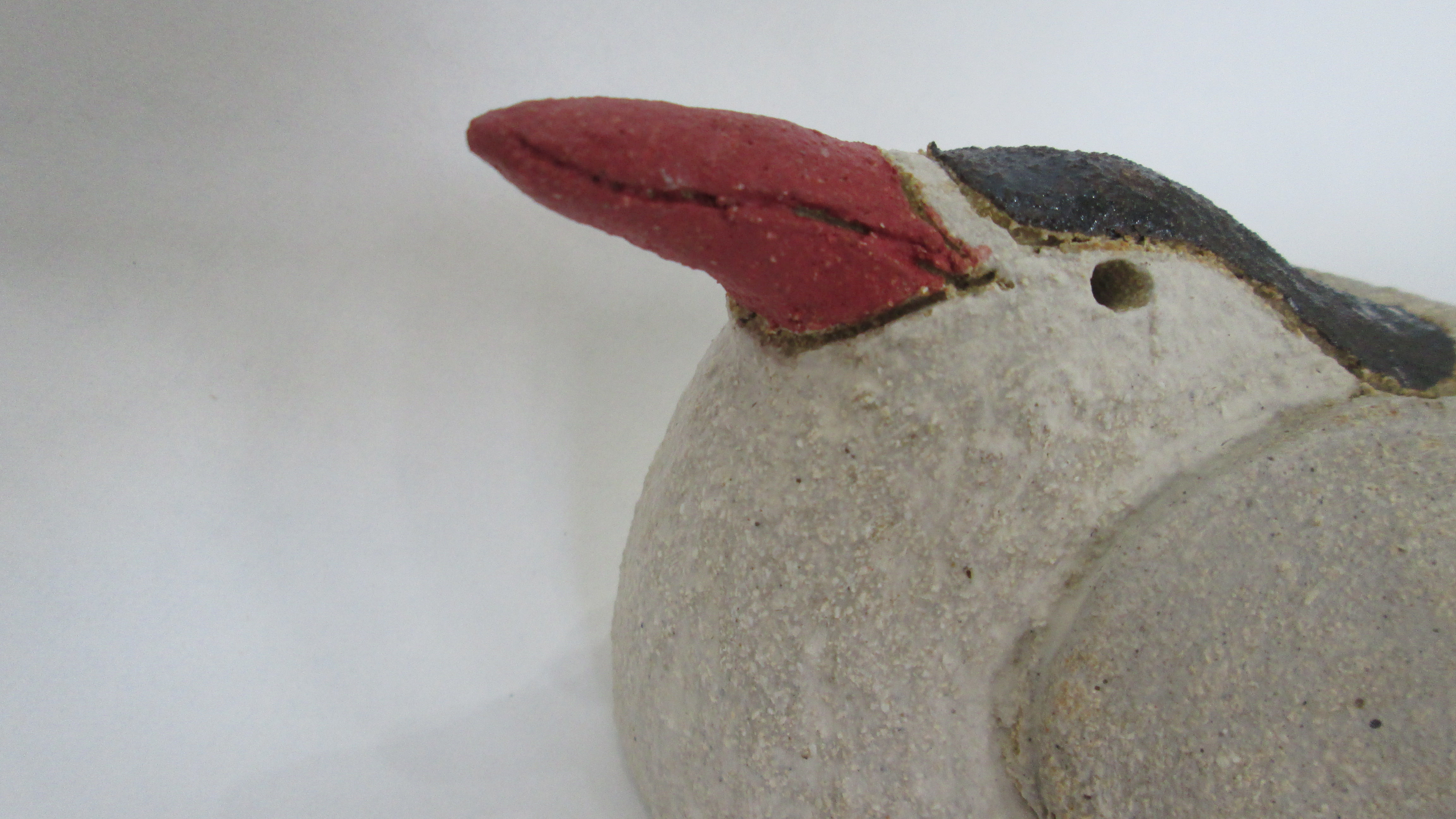 Terns by Rob Rutherford