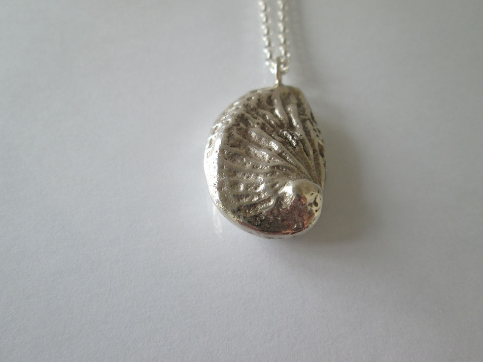 Thumbnail: Shell Necklaces by Fiona S. Johnson