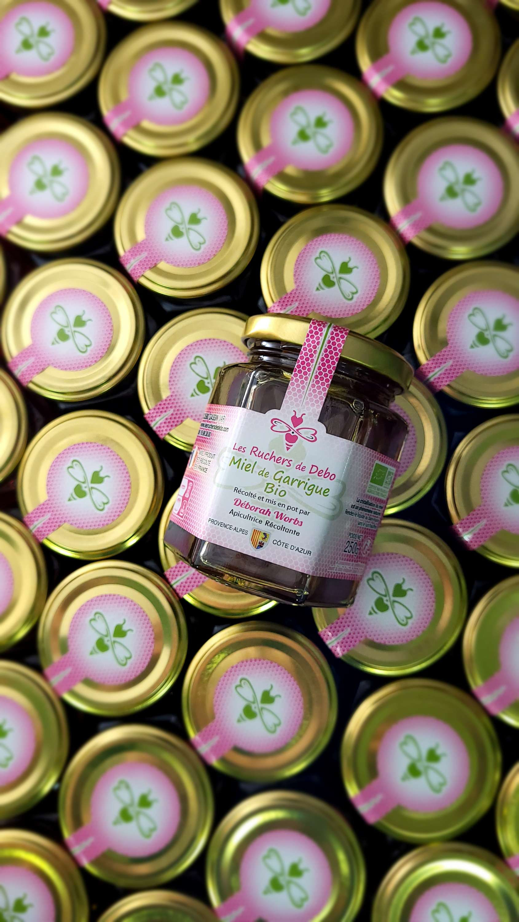 Miel de Garrigue BIO