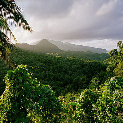 Jungle Carts Dominica