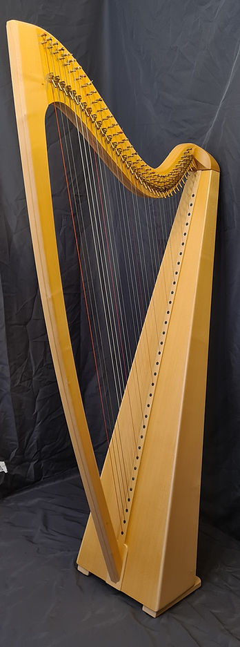 Baroque Celtique 34 cordes_edited.jpg