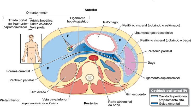 PARACENTESE ABDOMINALfoto1.jpg