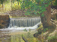 pequena cachoeira cercada por árvores.