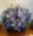 casket_edited.jpg