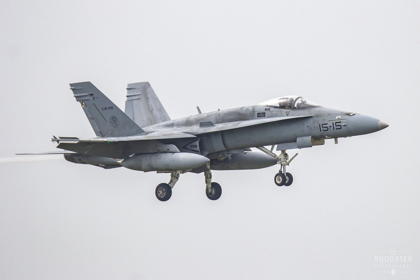 Spanish Air Force - F18 Hornet - Frisian Flag 2018