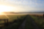 Dawn