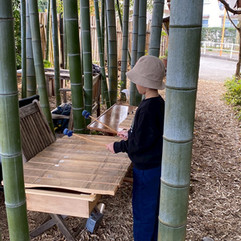 何を引いているのかな？