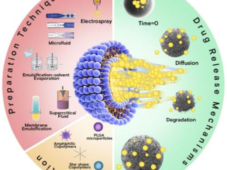 Don't miss out our review on poly(lactic acid)-based microparticles in Pharmaceutics (IF 6.321)