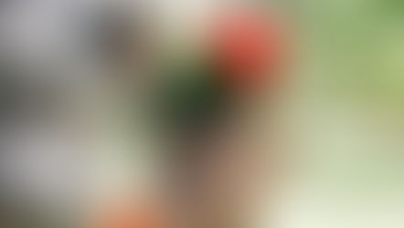 Arc Flash Corporate Program