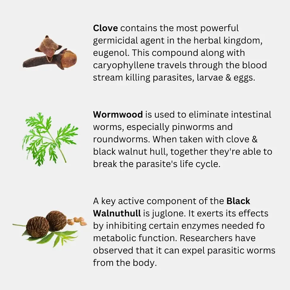 Thumbnail: Gut Detox and Cell Cleanser Capsules
