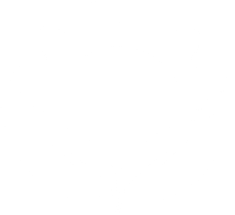 AgroLink_Logo_Blanco.png