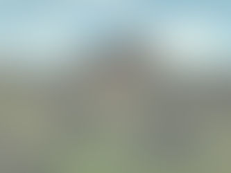 Why Choose Mina Video Production for Your Sedona Wedding Videography?