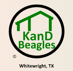 KanD Beagles logo