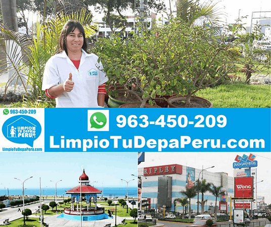 Servicios de Limpieza en San Miguel