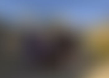 Reasons to be cheerful, pt 2