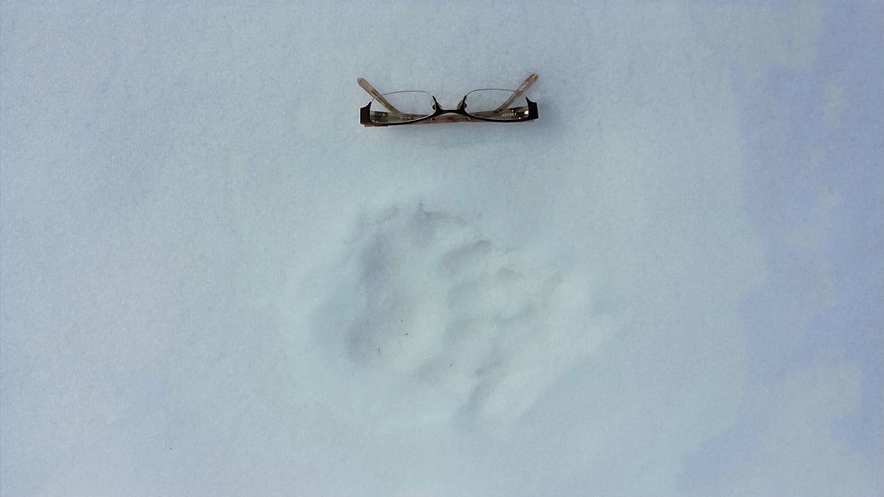 2014-03-20 21.54_edited.jpg