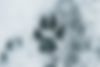 AdobeStock_361497672.jpeg