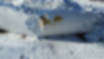 20170203_140651.jpg