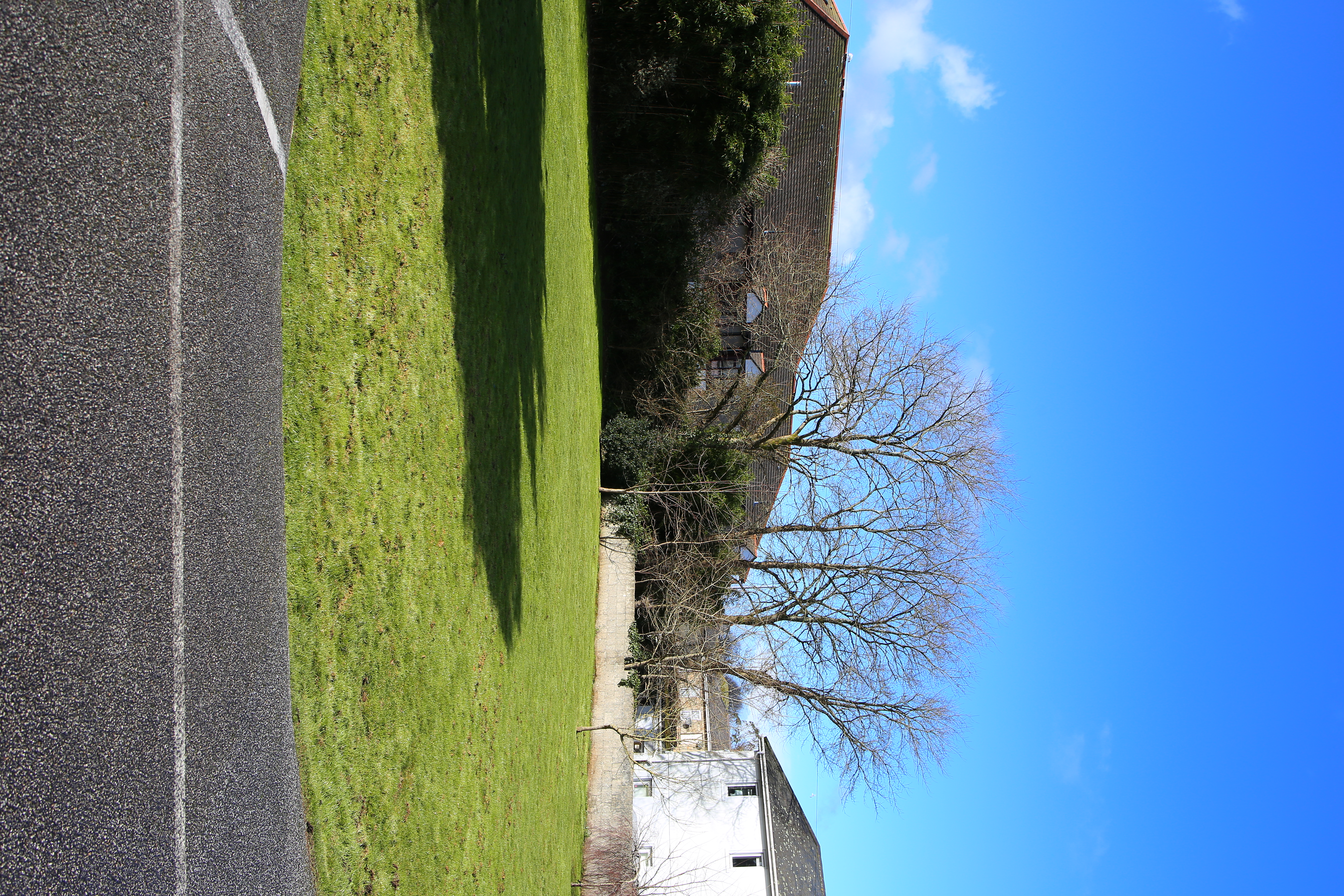 Large lawn area