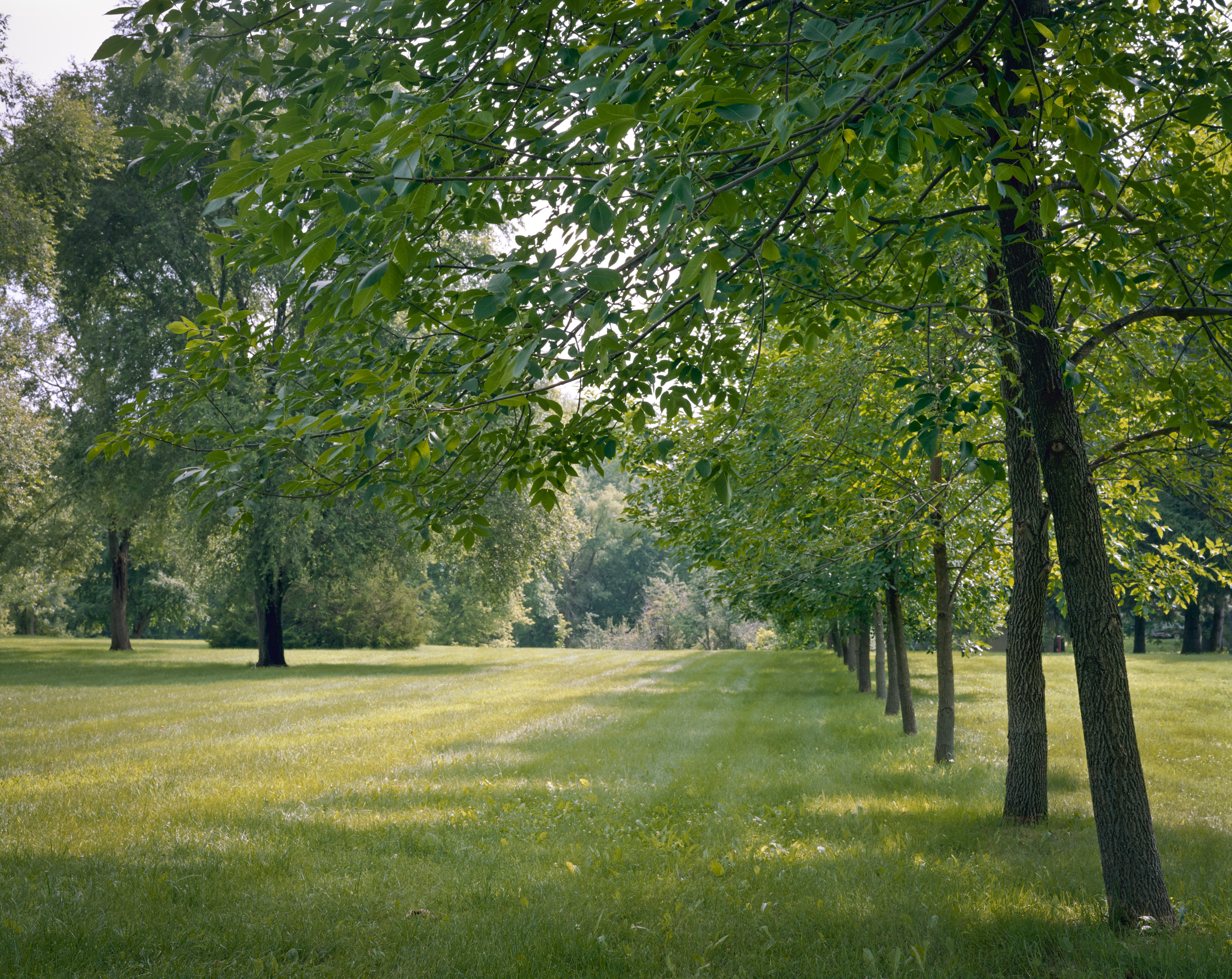 Cambridge