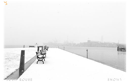 mM - Josh Rouse - Snowy(a).jpg