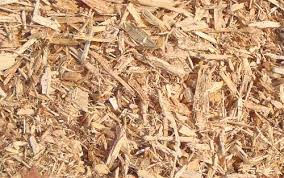 Playground Chips