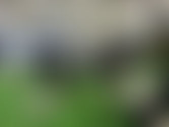 運動に特化したデイサービスがオープン!